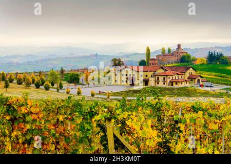 Die Weinberglandschaft rund um die Stadt Barbaresco, Region Piemont, Italien. Barbaresco ist ein italienischer Wein, der mit der Nebbiolo-Traube hergestellt wird, wird als eingestuft Stockfoto