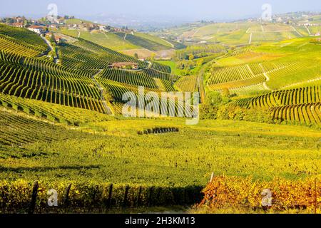 Die Weinberglandschaft rund um die Stadt Barbaresco, Region Piemont, Italien. Barbaresco ist ein italienischer Wein, der mit der Nebbiolo-Traube hergestellt wird, wird als eingestuft Stockfoto