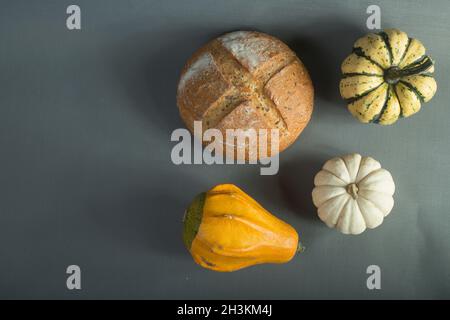Erntekonzept - drei kleine Kürbisse und ein Laib Brot isoliert auf grauem Hintergrund flach legen Stockfoto