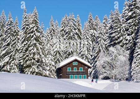 FRANKREICH. HAUTE SAVOIE (74) WINTER IM HAUT-GIFFRE-TAL, HOCHPLATEAU DE PRAZ DE LYS Stockfoto