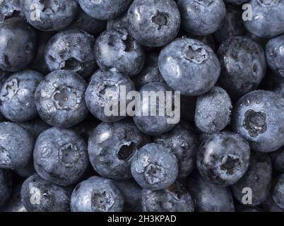 Heidelbeeren Früchte Hintergrund. Wassertropfen auf den reif süß Blueberry. Ansicht von oben. Stockfoto