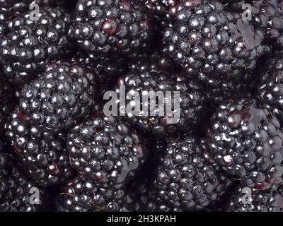 Frische Brombeeren als Hintergrund Reif. Nähe zu sehen. Stockfoto