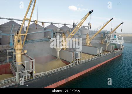 Verladung von Getreide in Laderäume von Seefrachtschifen durch eine automatische Linie im Seehafen aus Silos der Getreidelagerung. Bunkern von Trockenfrachtschiff mit Getreide Stockfoto