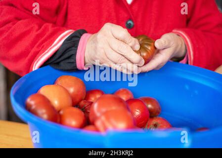 Nahaufnahme der Frau, die auf dem ländlichen Markt Tomaten auswählt. Stockfoto