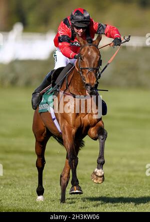 Datei-Foto vom 09-04-2021 von Ahoy Senor, geritten von Derek Fox auf ihrem Weg zum Gewinn der Doom Bar Sefton Novizen' Hurdle während des Ladies Day des Randox Health Grand National Festival 2021 auf der Aintree Racecourse, Liverpool. Ahoy Senor wird voraussichtlich am Sonntag sein Debüt über Fences geben, nachdem er am Freitag wegen des Bodens einen späten Rückzug in Wetherby hatte. Ausgabedatum: Freitag, 29. Oktober 2021. Stockfoto