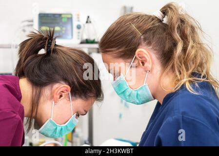 Porträt der selbstbewussten Tierärzte, die im Tierkrankenhaus arbeiten. Stockfoto