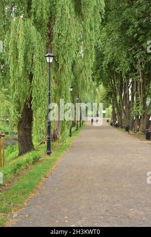 Fußgängerstraße zwischen grünen Bäumen an einem düsteren Sommertag. Stockfoto