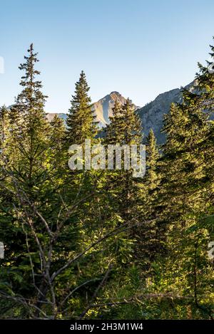 Zdiarska vidla Berggipfel in Bwlianske Tatry aus Javorova dolina Tal in der Slowakei im Spätsommermorgen mit klarem Himmel Stockfoto