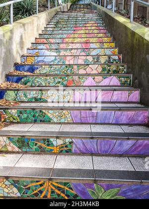 The Hidden Garden Steps, San Francisco, California, U. S. A. Stockfoto