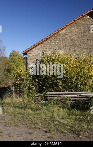 Alte verlassene Steinhütte mit roten Dachschindeln und Holzstapel im Vordergrund im Wasgauer Wald unter blauem Herbsthimmel, Ludwigswinkel, Deutschland Stockfoto