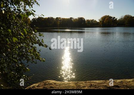 Idyllische Herbstszene vor der strahlenden Nachmittagssonne über dem glitzernden Wasser des Schwarzen Sees (Schwarzer See), Garbsen, Deutschland Stockfoto