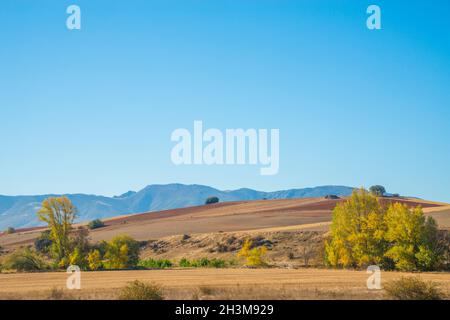 Herbstlandschaft. Sierra de Ayllon, Provinz Segovia, Castilla Leon, Spanien. Stockfoto