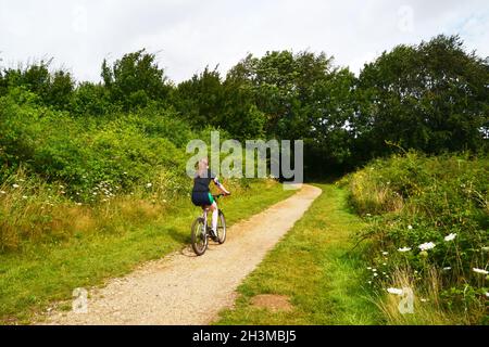 Radfahrer auf dem Radweg, der durch das Alton Water Nature Reserve, Suffolk, Großbritannien, führt Stockfoto