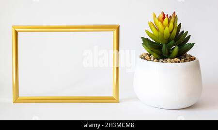 Goldrahmen-Modell mit kleinem Kaktus. Frame-Modell. Modell mit weißem Rahmen. Stockfoto