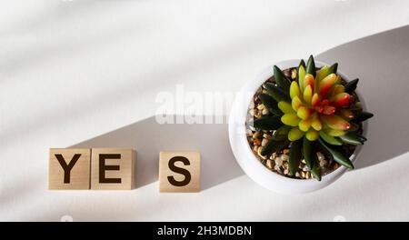 Das Wort Ja in schwarzen Buchstaben auf Holzblöcken geschrieben. Message Spells Ja auf weißem Hintergrund. Business, Motivation und Bildungskonzept Stockfoto