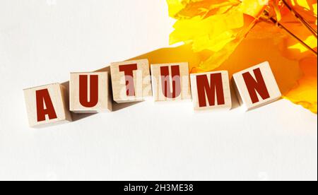 Die Inschrift Herbst wird aus Holzblöcken neben gelben Blättern auf weißem Grund gesammelt Stockfoto