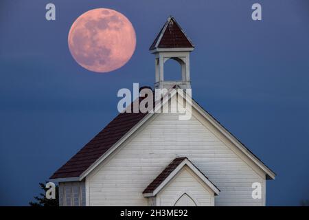 Ganz Pink Moon Stockfoto