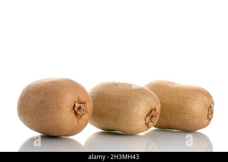 Drei saftige Bio-Kiwi-Früchte, Nahaufnahme, isoliert auf Weiß. Stockfoto