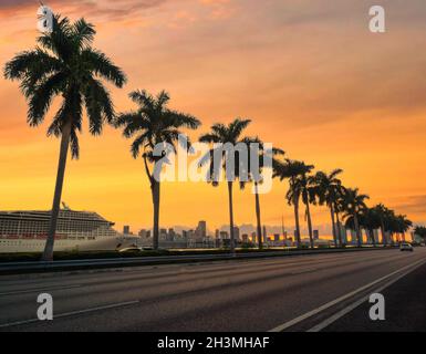 Panoramablick auf den Sonnenuntergang Miami Florida Palmen Stockfoto