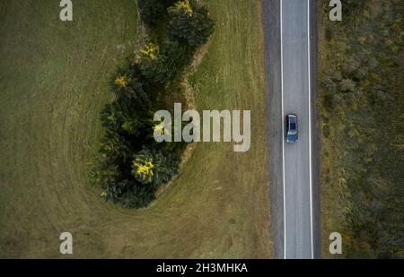 Draufsicht auf das Autofahren auf einer asphaltierten Straße zwischen Wald und Feld in ländlichem Gelände in Island Stockfoto