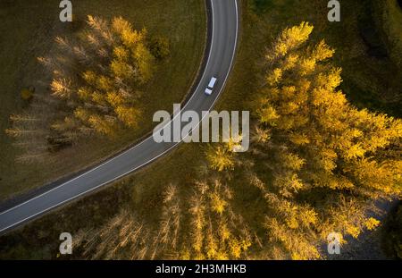 Drone-Ansicht des Autos, das auf einer asphaltierten Straße fährt, umgeben von gelben Herbstbäumen, die im Wald von Reykjavik wachsen Stockfoto