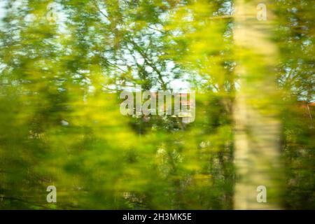 Vegetative Landschaft, grüne Bäume. Abstrakter unscharer Hintergrund. Foto in Bewegung aus dem Fenster eines fahrenden Autos Stockfoto