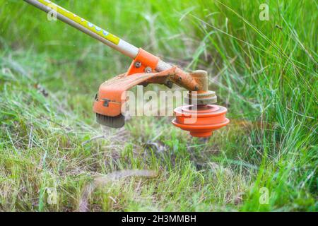 Gärtner mäht Gras mit einem Bürstenschneider in der Nähe des Gartens Stockfoto