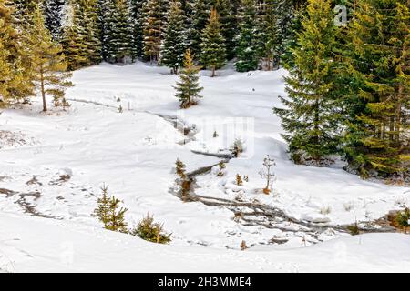 Schöne Winteransicht in West Rhodopen Berge, Bulgarien Stockfoto