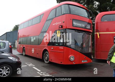 Imberbus, Tag 2022 Stockfoto