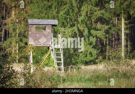 Bild von einem hölzernen Hirsch und Wildschwein auf der Kanzel. Stockfoto