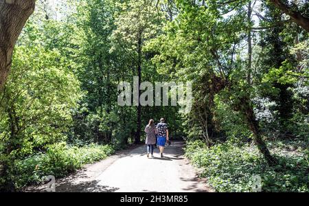 Menschen, die im Sommer in London auf Hampstead Heath wandern Stockfoto