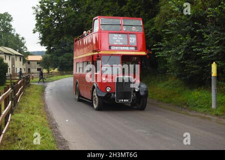 Imberbus, Tag 2022 Stockfoto