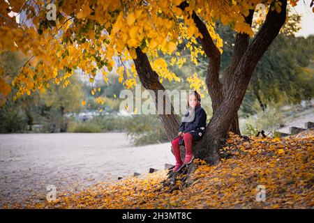 Kind in blauer Jacke sitzt unter Baum am Fluss. Kleines Mädchen in warmen Kleidern geht durch den Herbstwald und schaut auf helle Blätter, die haben Stockfoto