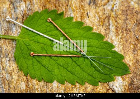 Alternative Medizin mit Akupunktur und Heilpflanze Stockfoto