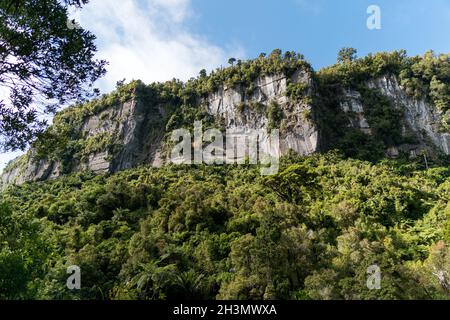 Der Pororari River, Neuseeland, Südinsel Stockfoto