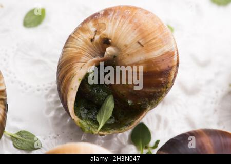 Escargot-Platte, köstliche französische Delikatessen Stockfoto