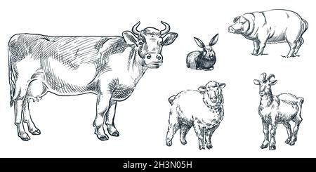 Bauernhof Rinder Tiere Set, Vektor-Skizze Illustration. Handgezeichnete Design-Elemente für Tierhaltung. Symbole für Kuh, Schaf, Schwein, Ziege, Kaninchen Stock Vektor