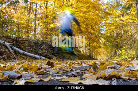 Ein Radfahrer fährt durch eine herbstliche Landschaft auf einem Pfad, der mit gefallenen Blättern bedeckt ist. Stockfoto