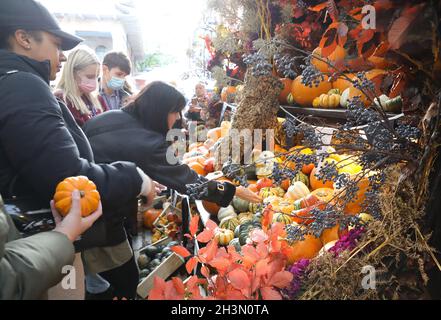 Kürbisse und Kürbisse zum Verkauf in Covent Garden für Halloween 2021, im Zentrum von London, Großbritannien Stockfoto