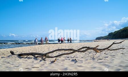 Flotsam und Spaziergänger am Strand von Rewal auf der Polnische Ostseeküste Stockfoto