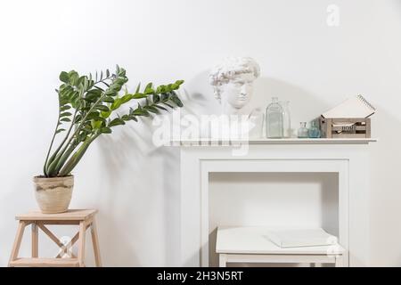 Apollos Gipskopf in einem weißen Innenraum. Zamioculcas Pflanzen in einem Tontopf auf einem Stuhl. Holzkiste mit Glasflaschen und einem Notizblock auf dem Tisch. Stockfoto