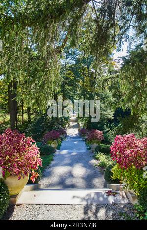 Gehweg im Wald mit violetten Pflanzgefäßen Stockfoto
