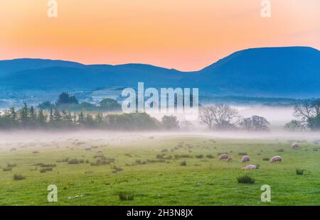 Wunderschöner Sonnenaufgang in Ennerdale, Lake District, Nordengland, Großbritannien Stockfoto