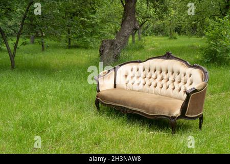 Vintage Sofa steht im Garten. Grüne Bäume im Hintergrund. Hochwertige Fotos Stockfoto