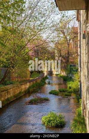 Bilder aus Quedlinburg Stockfoto