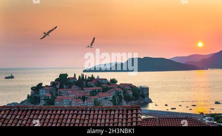 Vögel über Sveti Stefan Stockfoto