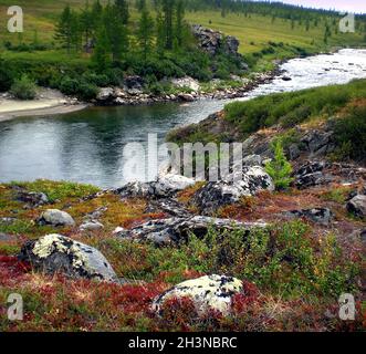 Fluss in der Taiga im Norden Russlands. Die Natur der Taiga in einer bergigen Gegend. Stockfoto