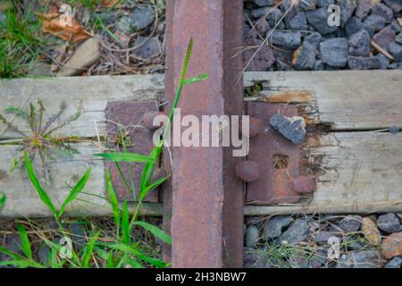 Viele verrostete Schienen auf einer verlassenen Eisenbahn Stockfoto