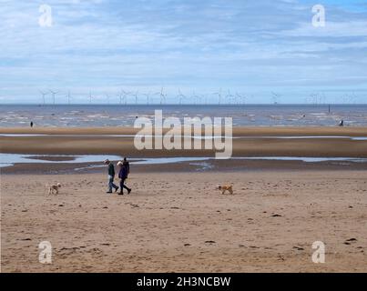 Menschen, die mit Hunden am Strand bei blundell Sands in der Nähe von southport merseyside spazieren gehen Stockfoto