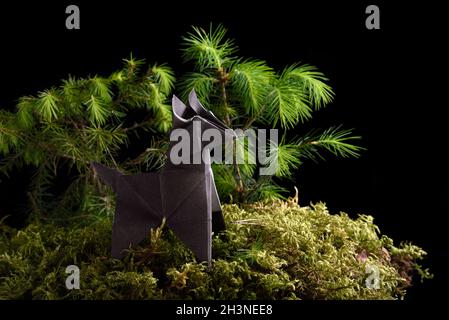 Origami-Papierwolf auf grünem Moos isoliert auf schwarzem Hintergrund Stockfoto